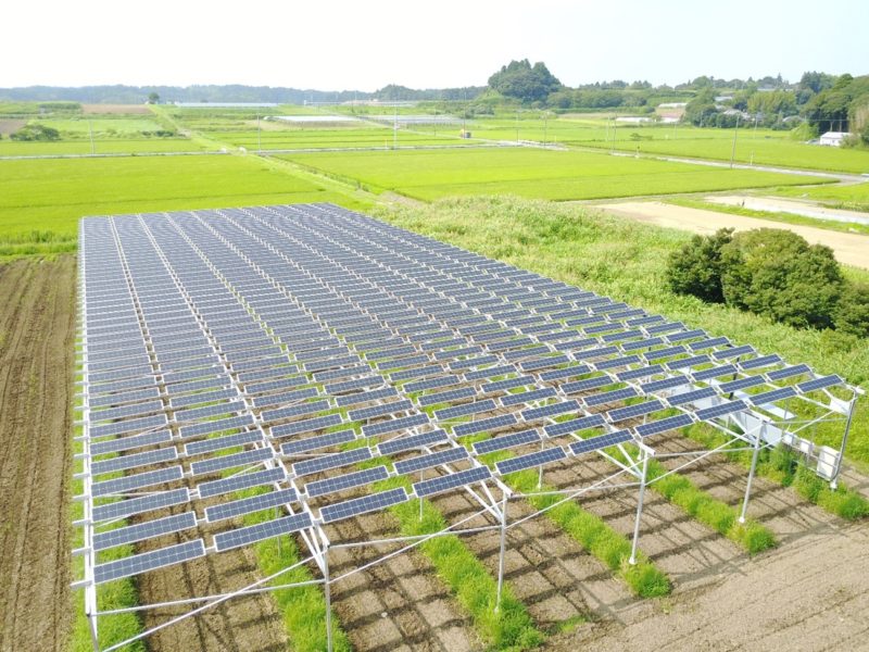 すそ野が広がるソーラーシェアリング、農業と発電を両立させる横浜環境デザインの強み