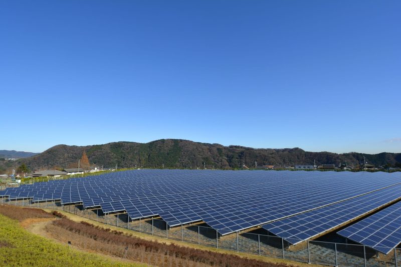 野立て太陽光発電とは？概要と発電所を設計する際のポイントを詳しく解説！