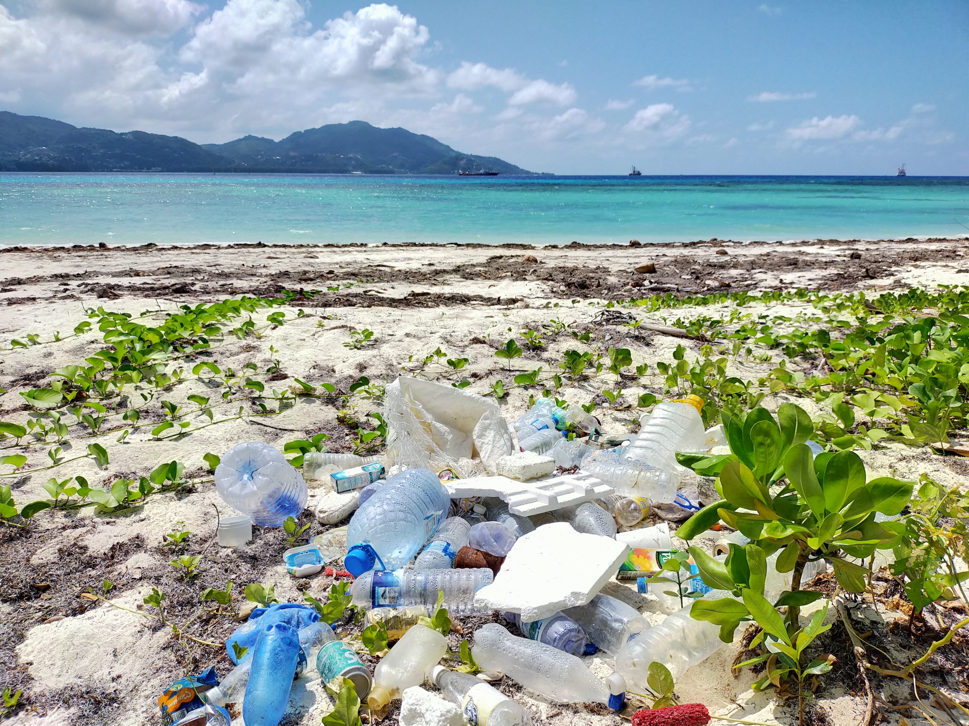 海洋プラごみ問題の原因は「使い捨て」？きちんと分別するだけでも対策に！