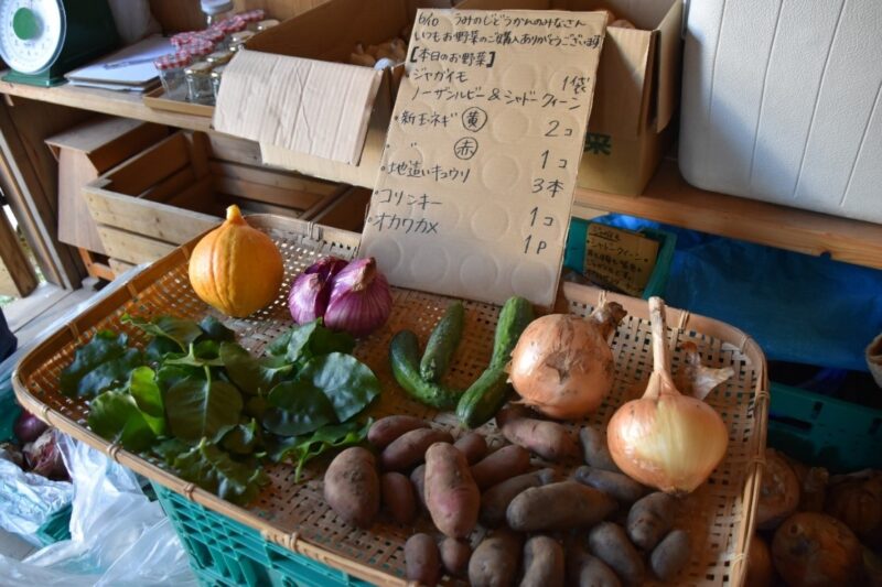 取材日にブロ雅農園さんが卸に来た野菜7種。聞いたことのないような珍しい野菜ばかりでした！
