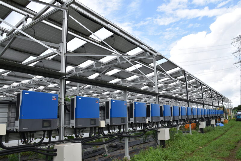 【農業×太陽光発電】ソーラーシェアリングの成功と失敗（後半）