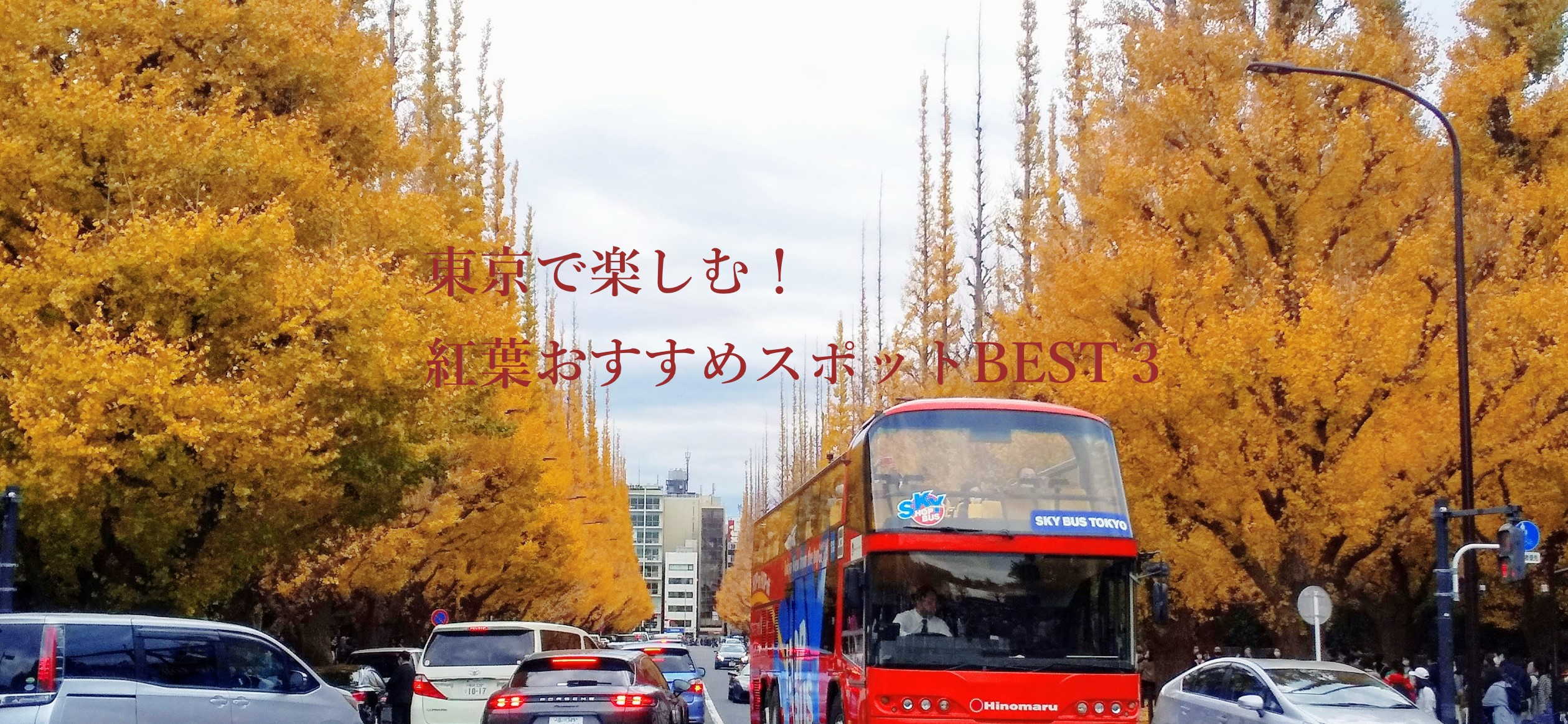 東京で楽しむ！紅葉おすすめスポットBEST３