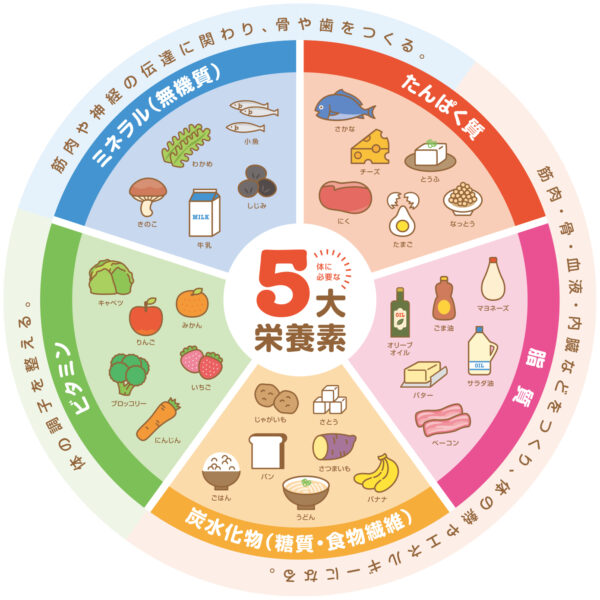 5大栄養素図
