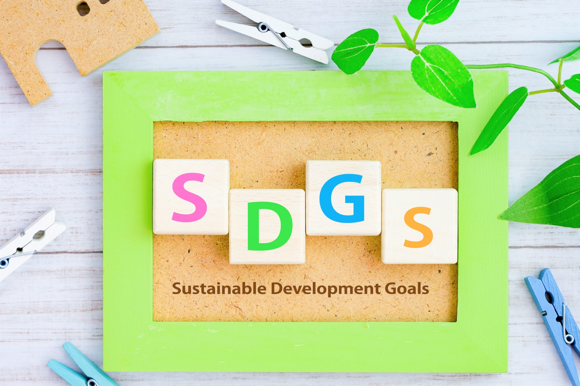 Z世代の就職活動とSDGs_SDGs