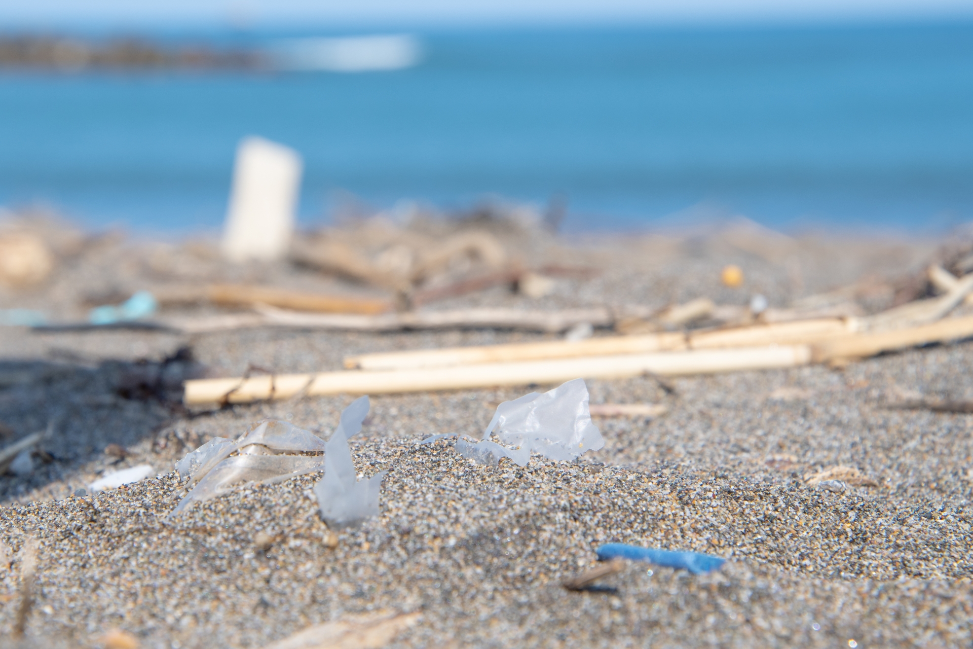 プラスチック新法_海洋プラスチックごみ問題