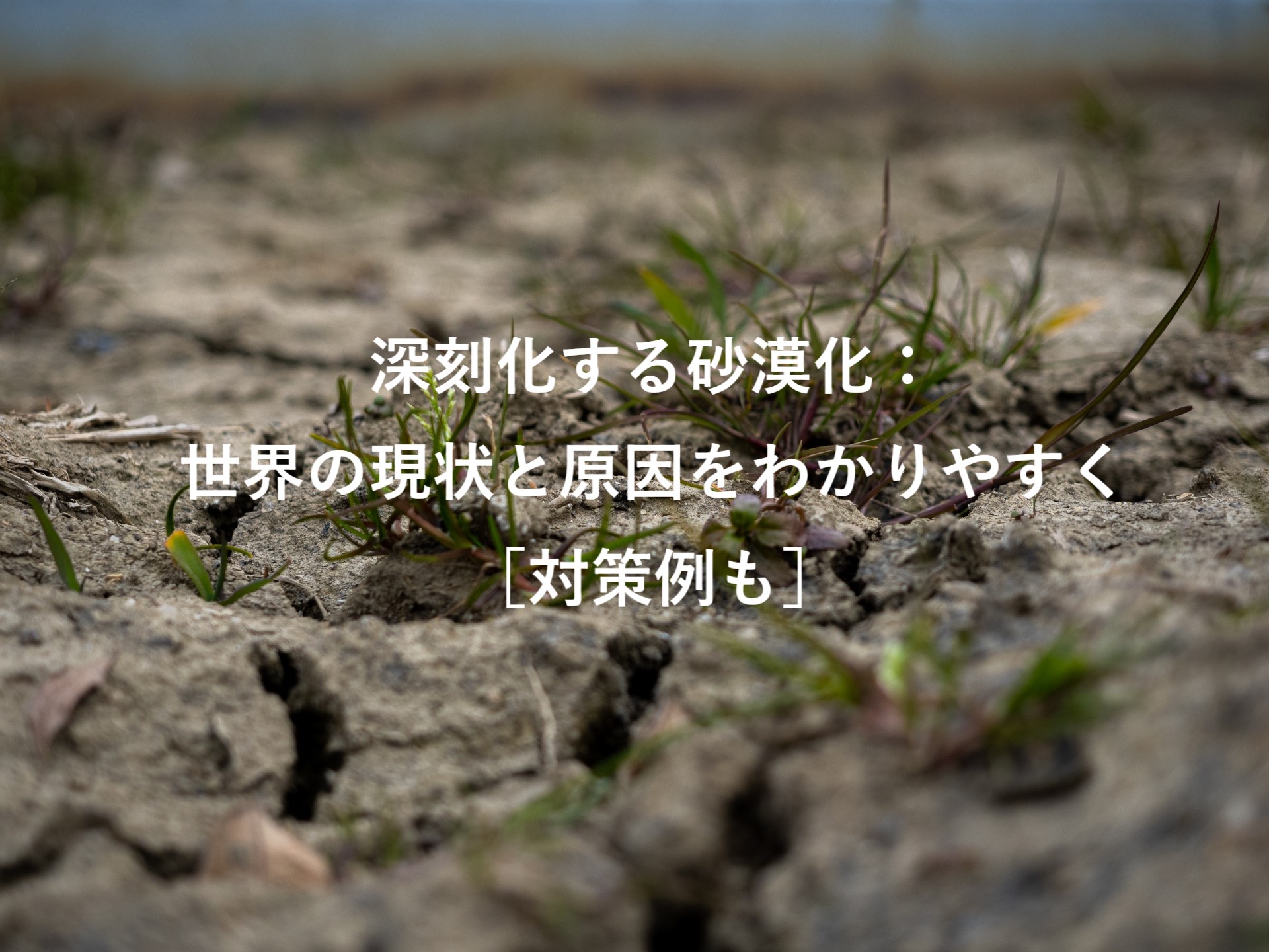 深刻化する砂漠化 世界の現状と原因をわかりやすく 対策例も