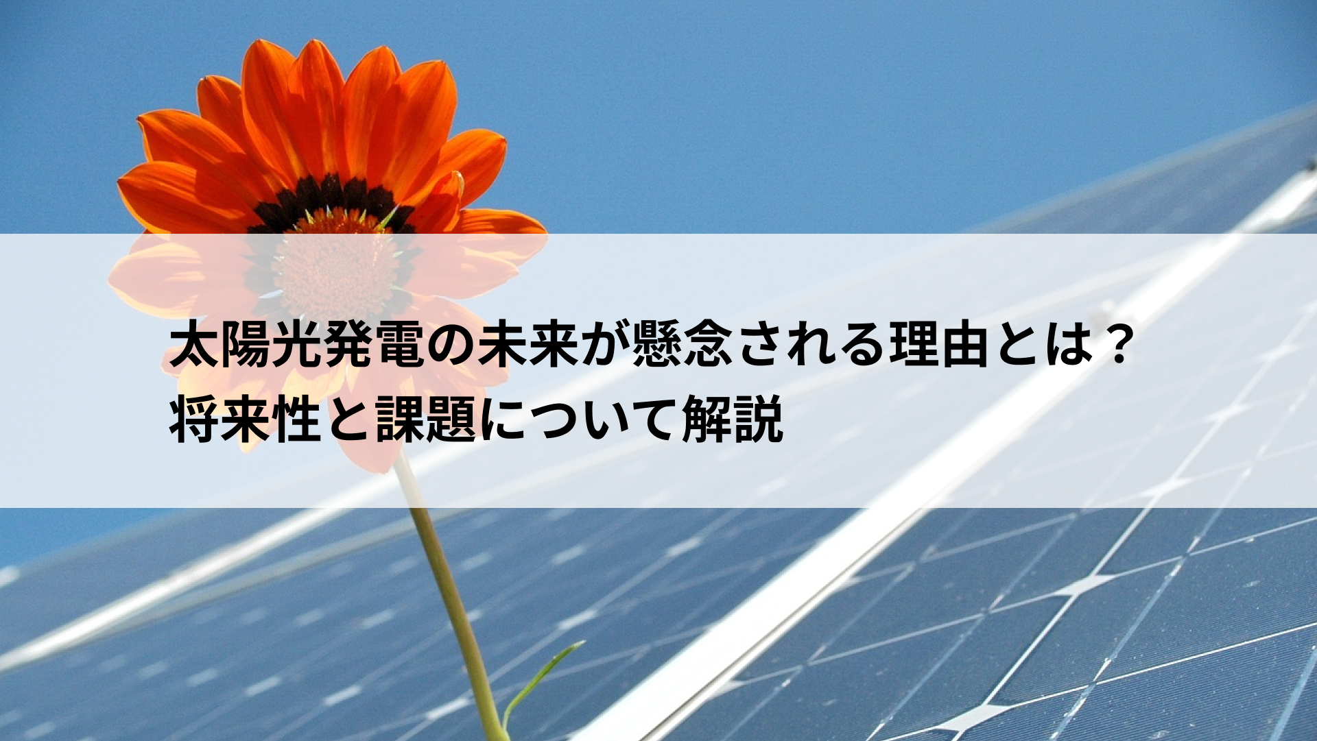 太陽光発電 未来